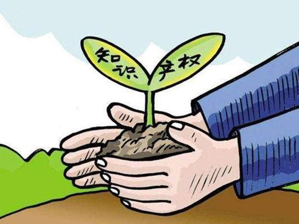 知识产权诉讼代理权限有几种？